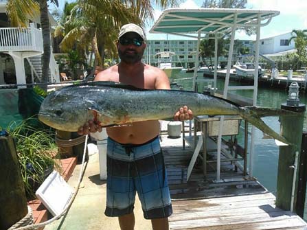 Tampa Fishing Charter Pictures 4