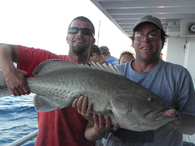 middle grounds gag grouper