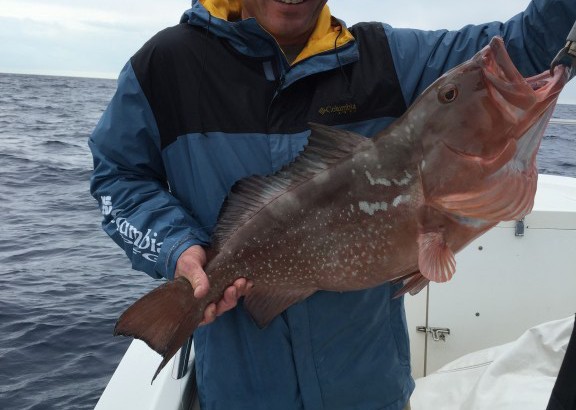 red grouper caught off Tampa Bay