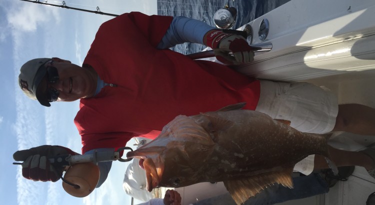 grouper fishng charter in tampa florida